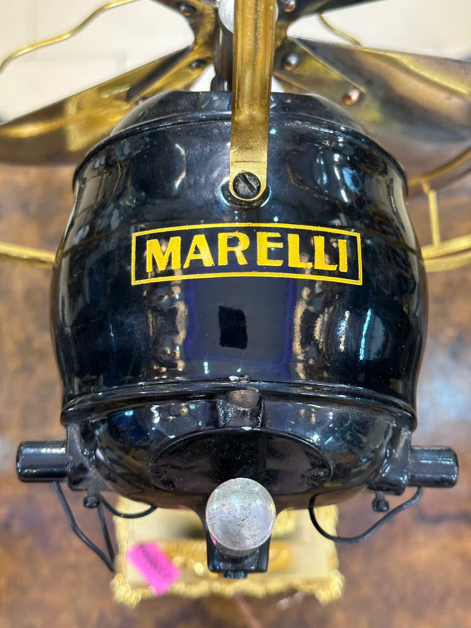 Đại Bàng Tung Cánh Marelli&nbsp;&nbsp;[A0022]